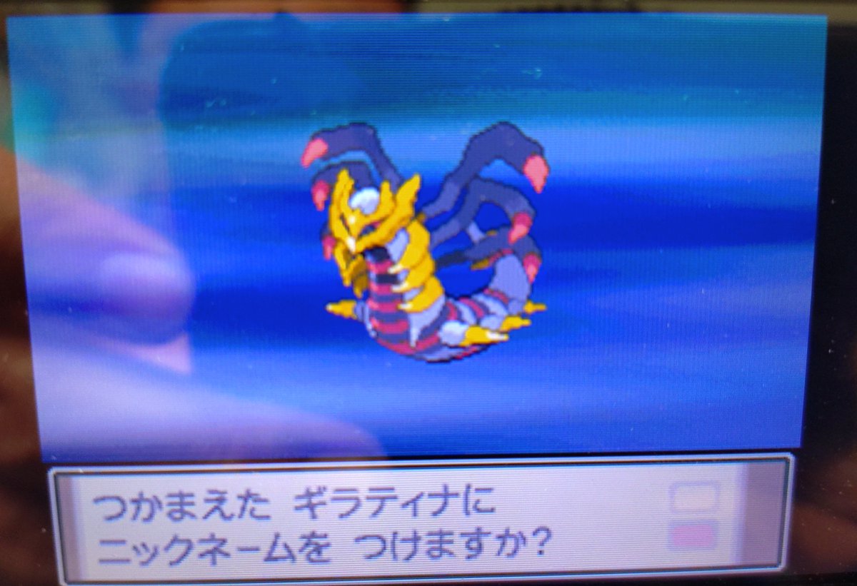 ギラティナGETだせ！