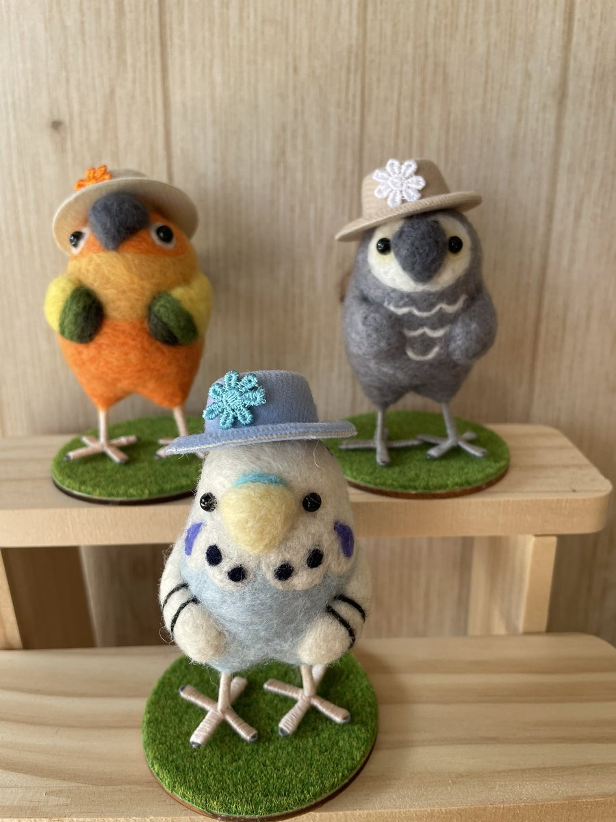 鳥フェス浅草ことのわさんブースにてにてお待ちしております大きなサイズの羊毛コトリさん達にはお帽子がおまけについてます👒
　#鳥フェス浅草 
　#羊毛フェルト小鳥