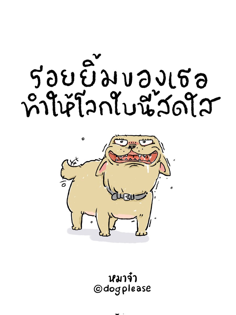 หมาจ๋า (@dogplease2013) on Twitter photo 