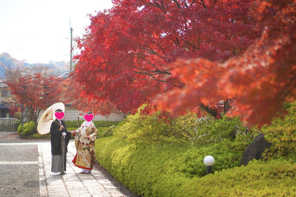 createwedding11's tweet photo. クリエイトウエディング
@createwedding11

11月27日 妙満寺さんで前撮り！
 「お客様の声」を更新！！      
 
 📣 📷https://t.co/6ZbB9jp5dt

#クリエイトウエディング #妙満寺 #京都 #色打掛 #口コミ #お客様の声 #京都和婚 #ウエデイングフォト #前撮り https://t.co/XtyCU2HnGg