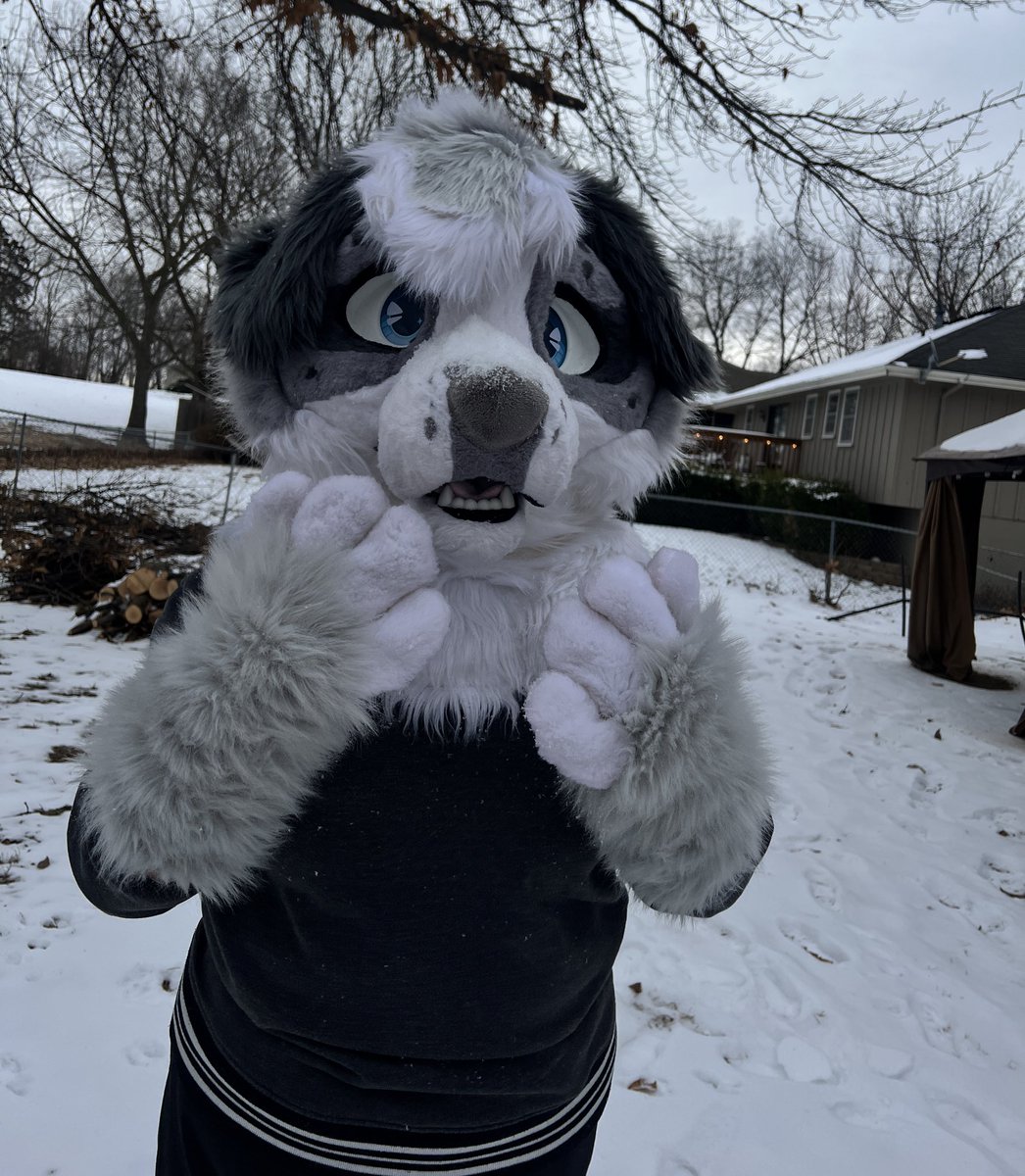 🌿𝗡𝗮𝗿𝗶 🌿 tweet media