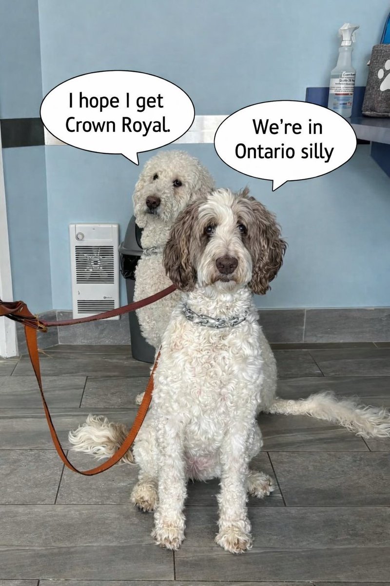 DoodleNessa's tweet photo. We're at the vets getting our annual shots...
#Ontario 
#OnlyInCanada https://t.co/O09IIdedDK