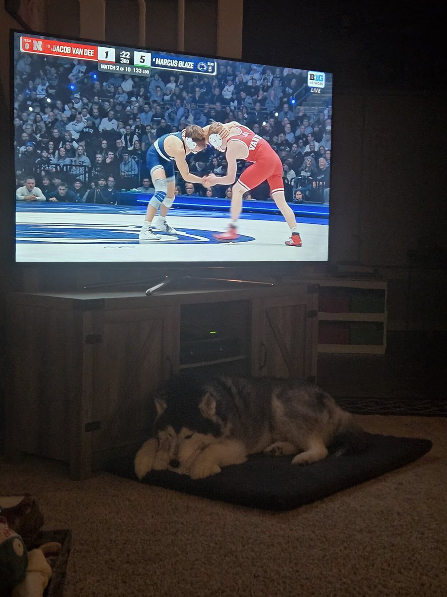 boilerbacker13's tweet photo. Hanging out with Oreo watching a little #Fridaynightwrestling https://t.co/eFomXIggXG