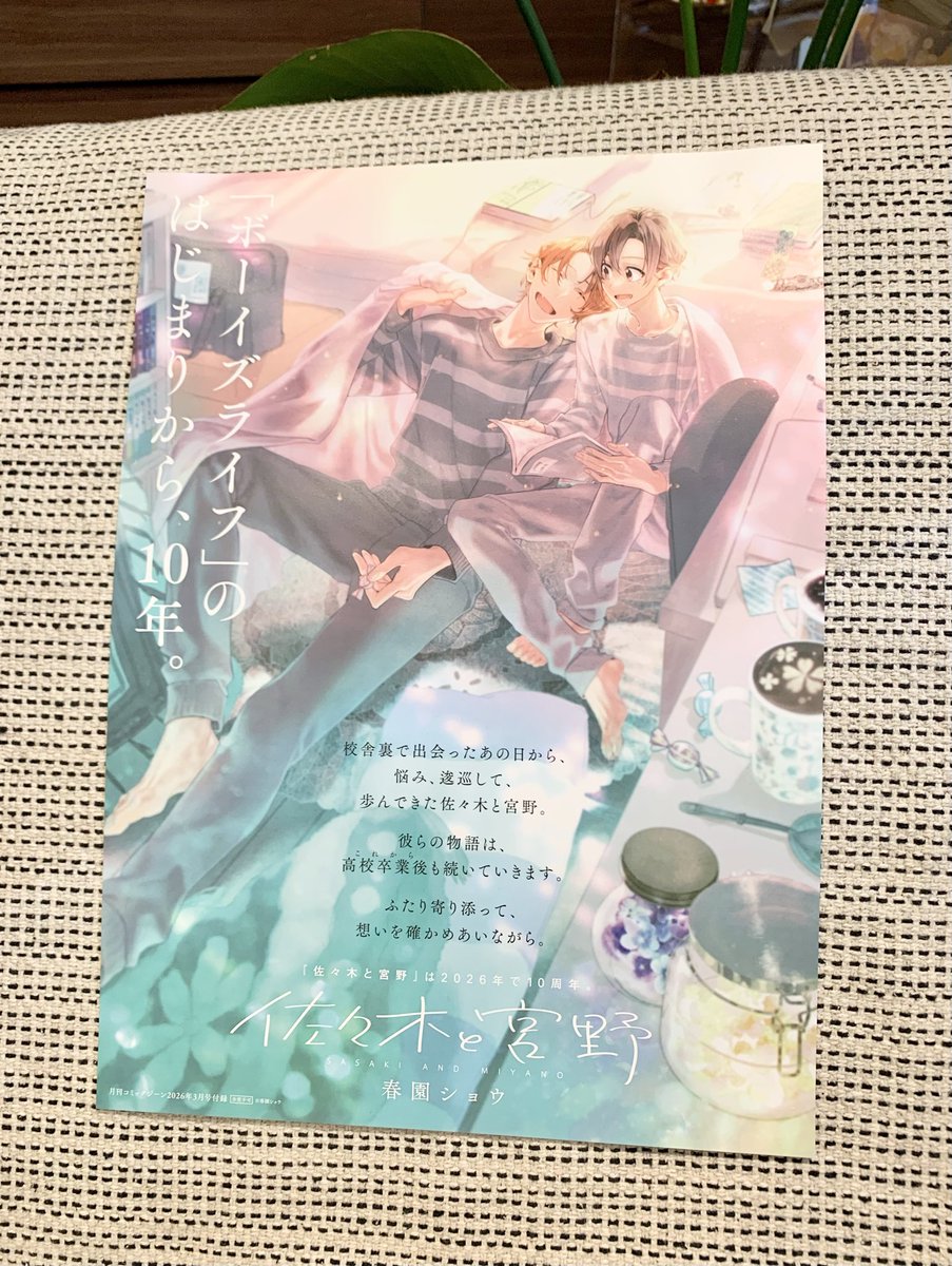 ジーン３月号付録
佐々木と宮野10周年ポスター
チェック中🔎