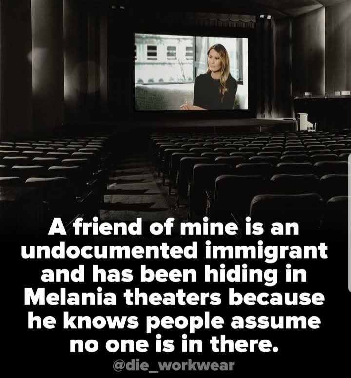Baudet voor dummies tweet media