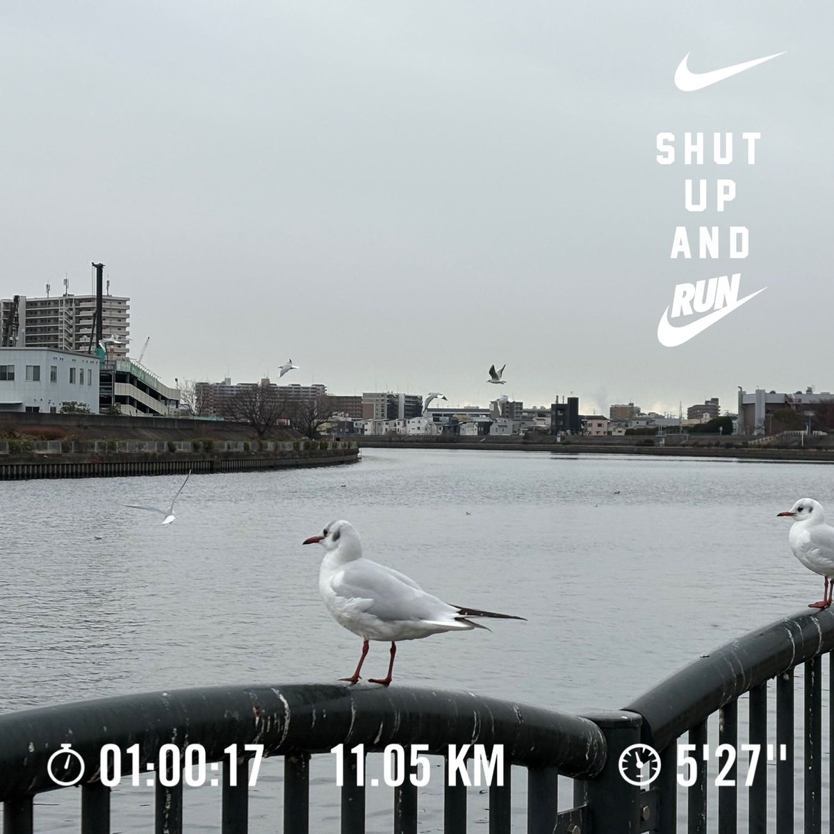 1月のラン締め
大阪北摂はパラパラと雪が降ってます

1月は寒いのと体調崩しがちで走るのだいぶサボった
2月こそは頑張る