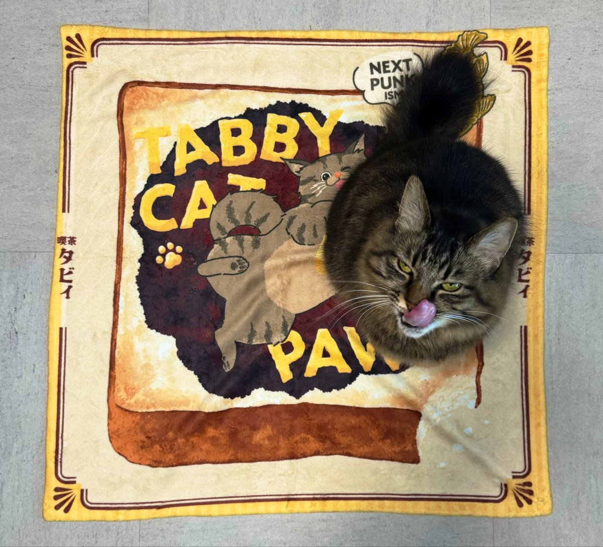SOPHIA 黒柳能生 TABBY CAT PAWS ブランケット＆ピック 安いSOPHIA