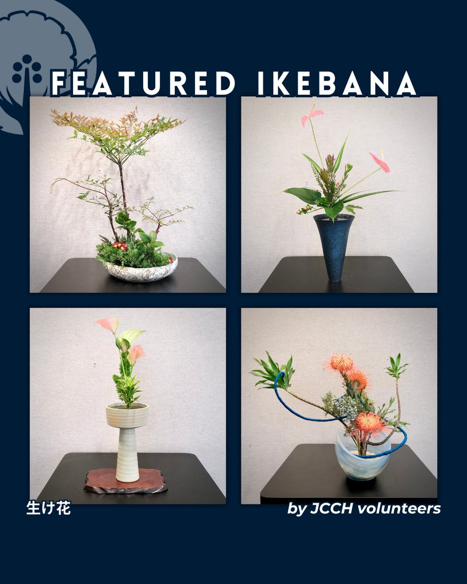 Each week, our #ikebana volunteers display an arrangement at the JCCH. Mahalo to these talented artists (top L-R):

🔸 Irene Nakamoto, Ohara
🔸 Barbara Tinius, Ikenobo
🔸 Shannon Teves, Sogetsu
🔸 May Hiraoka-Tomita, Ikenobo

#japaneseflowerarrangement
