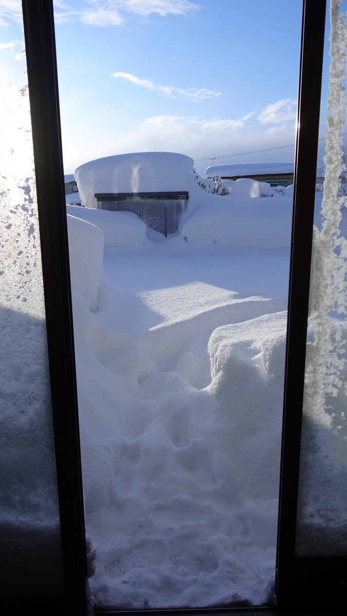 comp4ss's tweet photo. 毎日のように今季最強のアナウンス📢
夢でも雪の壁を見た－
嫌な予感は的中するもので玄関を開けたら後ずさりしてしまった(ーー;)。。。 https://t.co/6dwBu3d6Mh