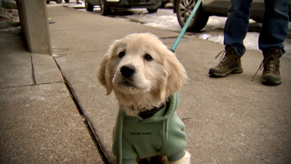 Forrest Sanders tweet media