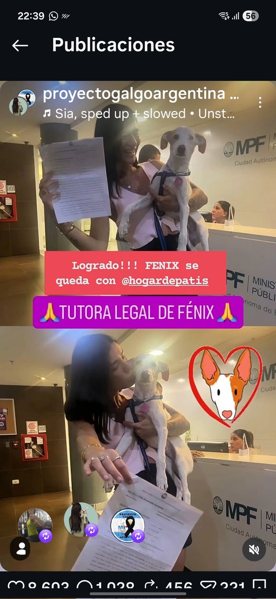 <a href="/iamtammysow/">Tammy Sowell 🕊</a> No se lo van a devolver!!!♥️👏 gracias al doctor Marcelo Chumbita, a las chicas de Hogar de Patis y todas las que ayudaron  a sacar a Fénix de ese enfermo mental