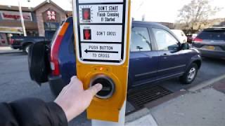 TurtleFountain | T9 tweet media