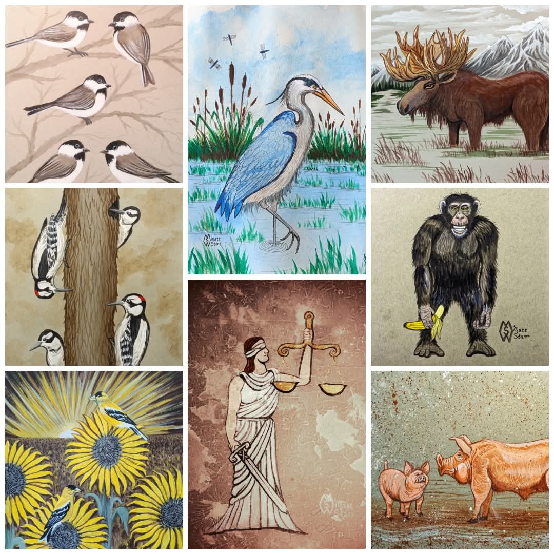 MattStarrFineA1's tweet image. Here are some of my paintings that I have done on gray paper.  I appreciate your feedback and sharing my art with others.  

#mattstarrfineart #gray #birds #animals #libra #art #paintings #tshirts #artist #artistic #artwork #artlovers #ArtoftheDay #BuyArtOnline #ArtforSale