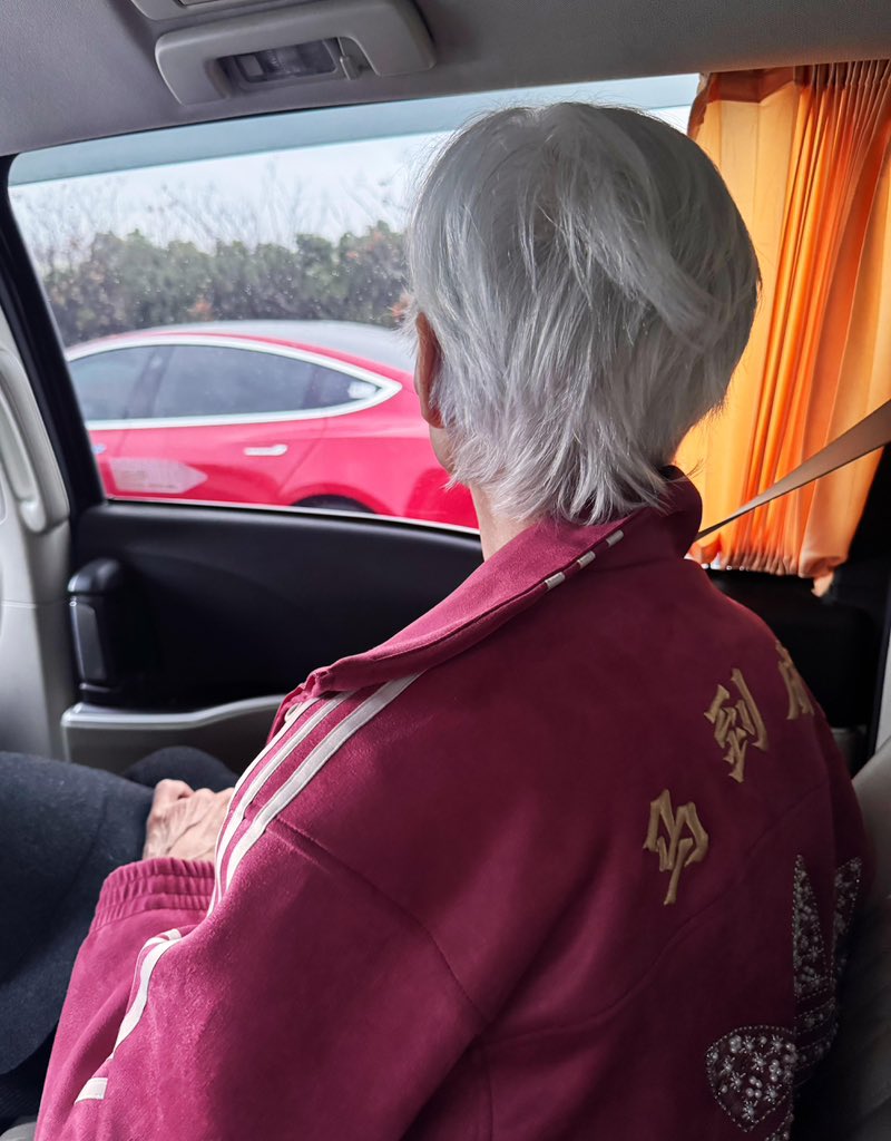 Maye Musk tweet media