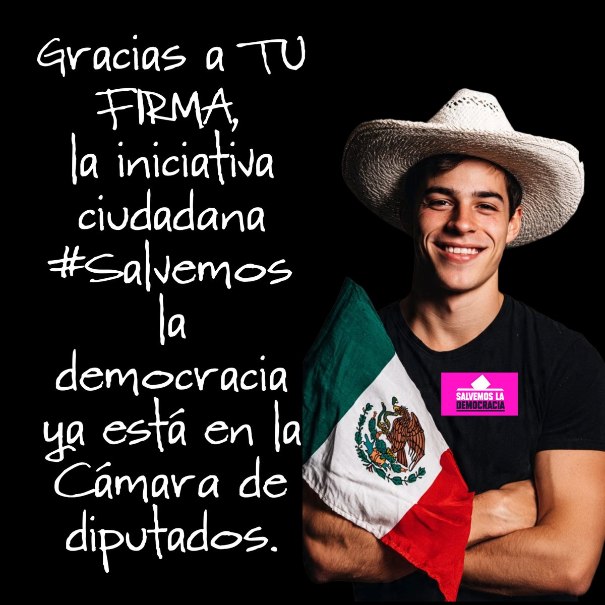#SalvemosLaDemocracia
#IniciativaCiudadana
#ReformaElectoral