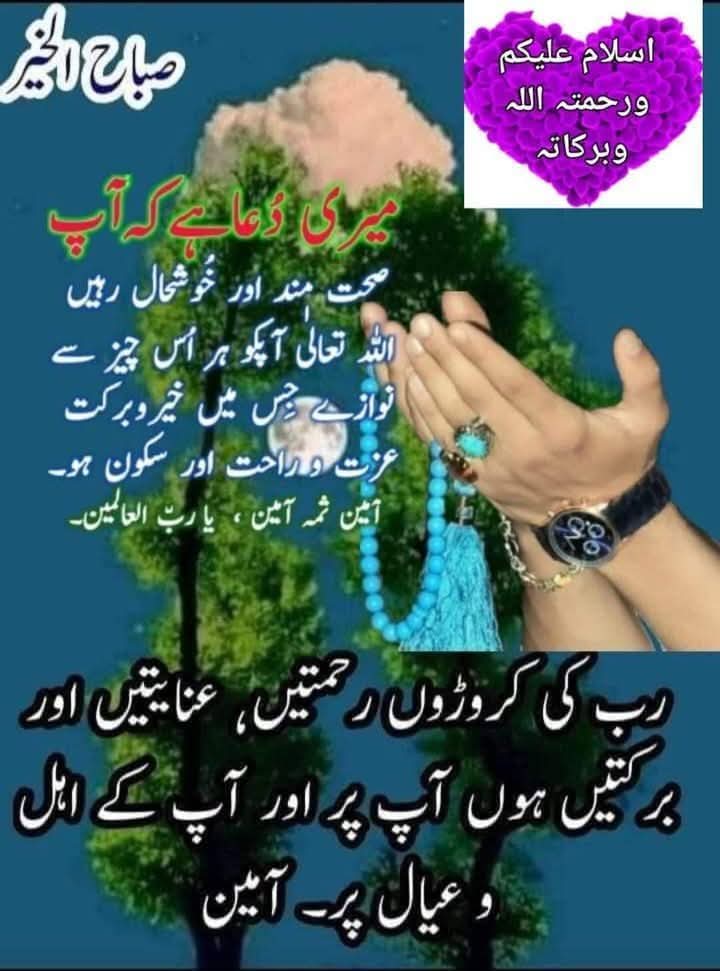 امان اللہAman ullah tweet media