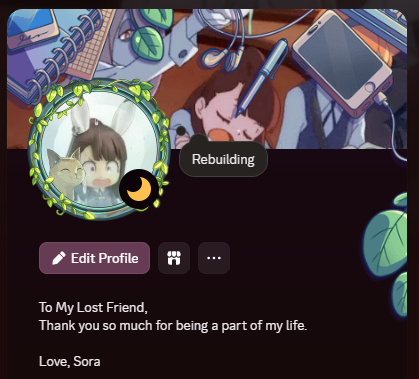 love my discord profile with nitro. maybe I should buy it lol