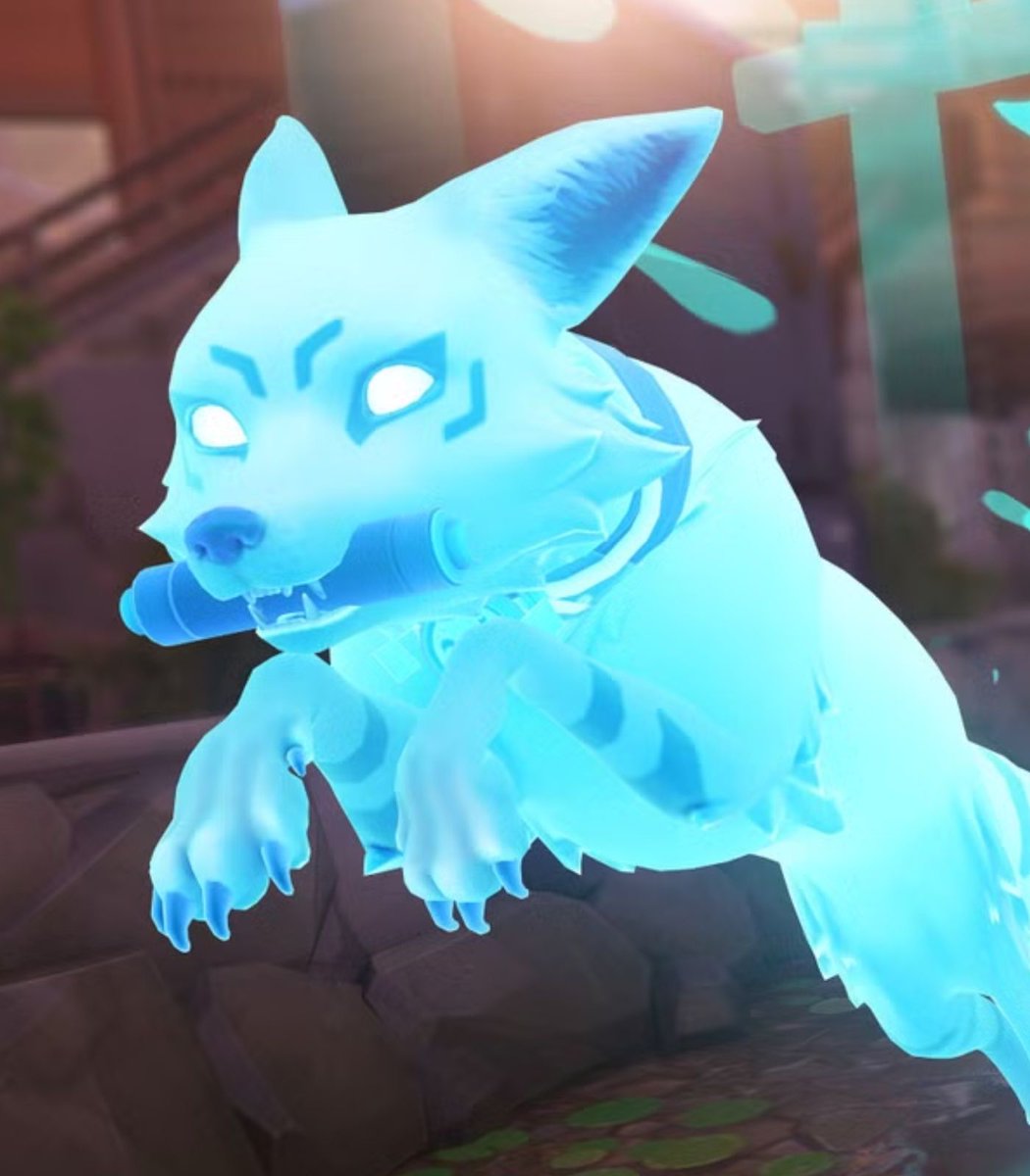 Dexerto's tweet image. Finnegan the fox, whose sounds were used for Kiriko's kitsune in Overwatch, has died

He was owned by the late YouTuber Mikayla Raines