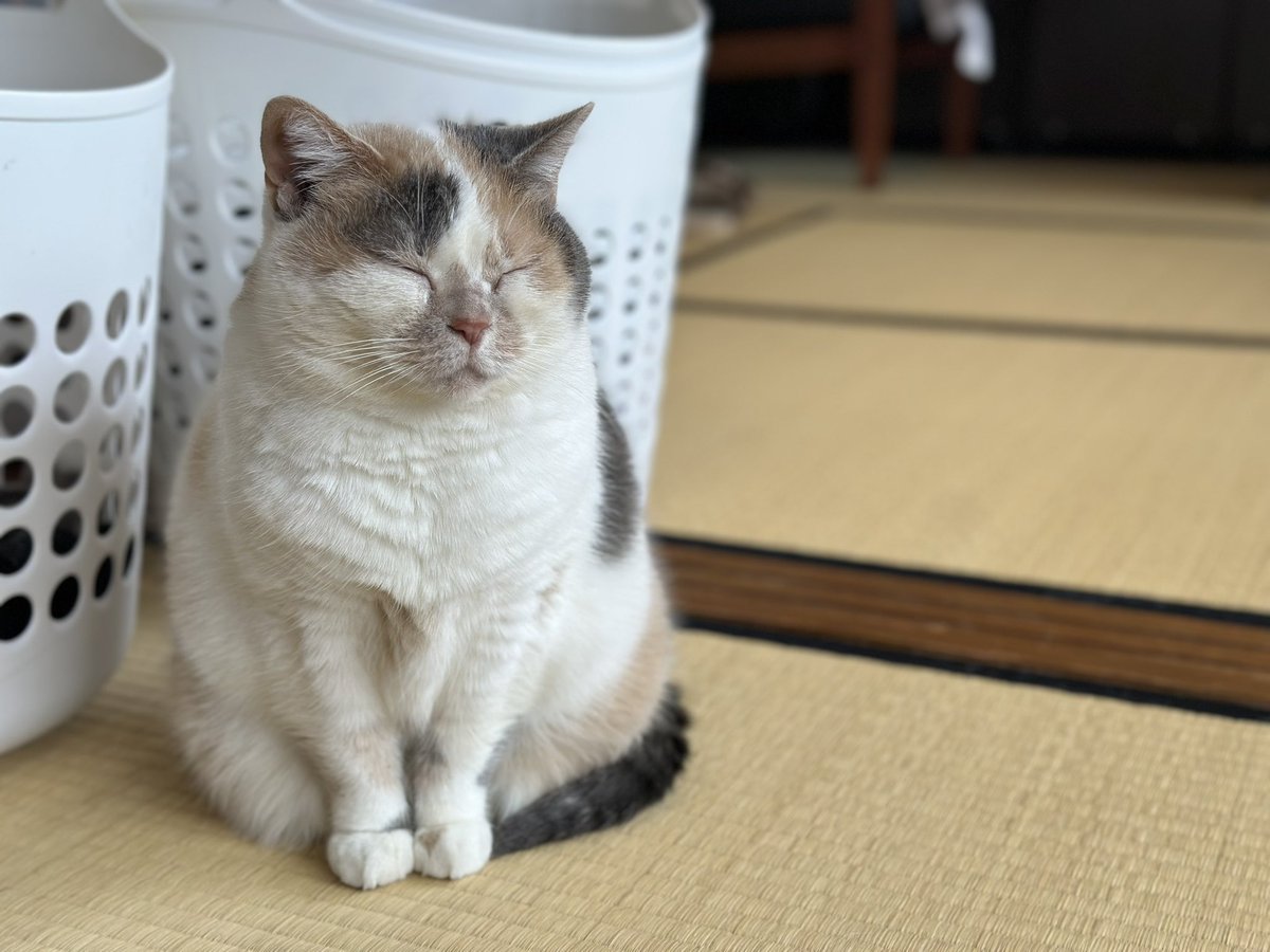 青空が一瞬見えたね