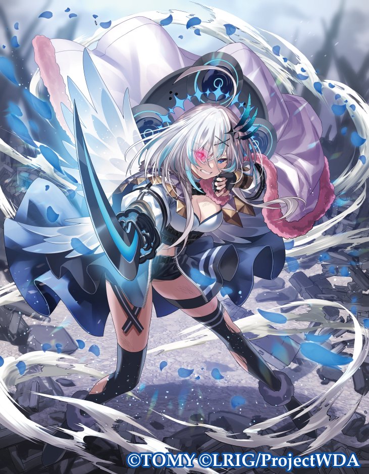 聖天姫エクシア　ウィクロス WIXOSS Amazon.co.jp: WIXOSS ウィクロス 聖天姫 エクシア コングラ : おもちゃ