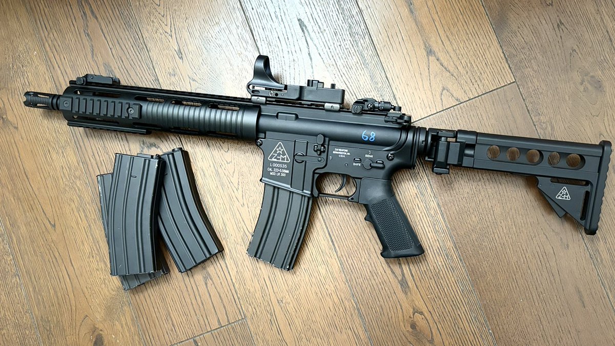 LR300かっちゃった