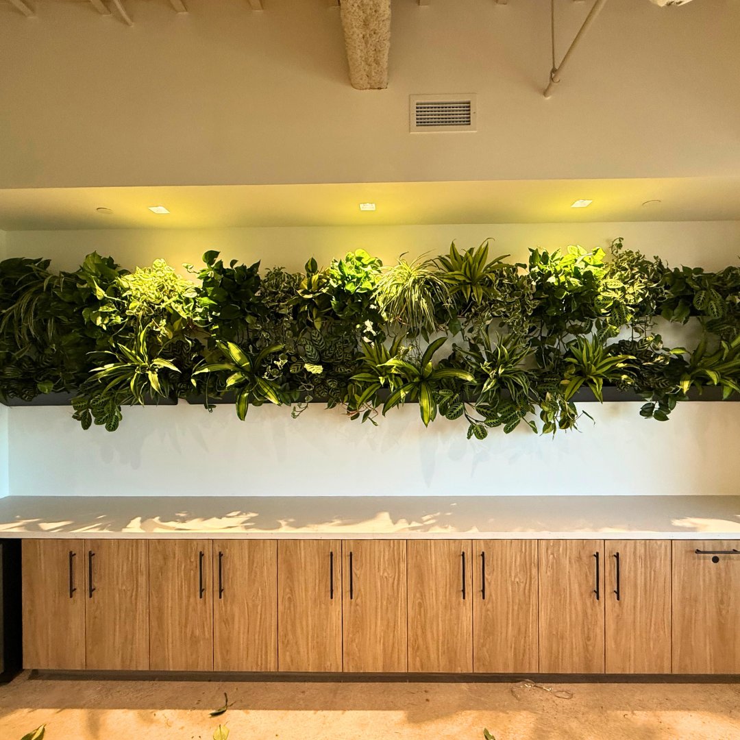 Greenleaf IPS tweet media