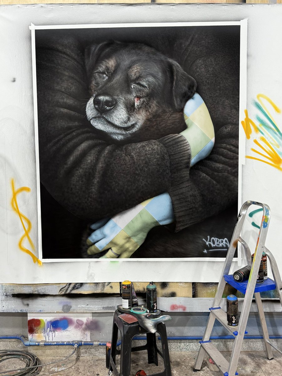 kobrastreetart's tweet photo. Ele se chamava Orelha e ninguém o ouviu. Uma tragédia, esta que vitimou um pobre cão em Santa Catarina. https://t.co/xHsYKzFCdK