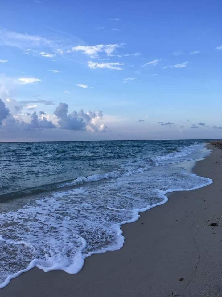 aestheticspost_'s tweet image. 