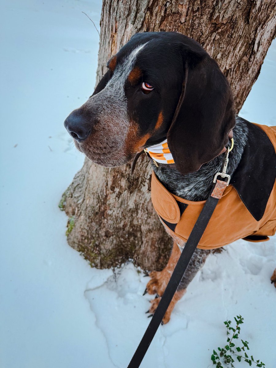 Andy McBroom tweet media