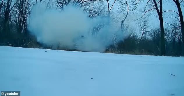 เสียงดังเหมือนระเบิดกลางป่า  คลื่นความหนาวจัดในสหรัฐฯ มีคนถ่ายคลิปต้นไม้ในรัฐไอโอวา “แตกกระจาย” จนเกิดกลุ่มฝุ่นคล้ายขี้เลื่อย พุ่งออกมาพร้อมเสียงดังสนั่น

นักอุตุนิยมวิทยาอธิบายว่า นี่ไม่ใช่การระเบิดแบบไฟไหม้ แต่เกิดจาก น้ำและยางไม้ในลำต้นแข็งตัวฉับพลัน