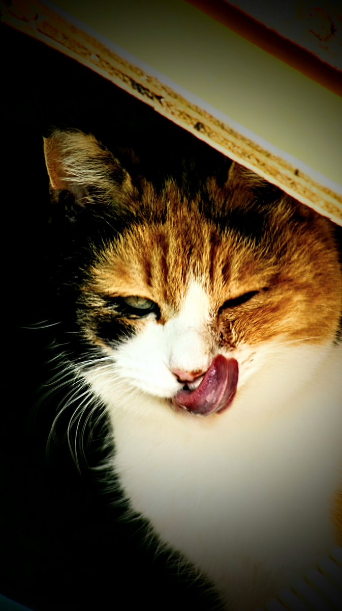 ring04's tweet image. 