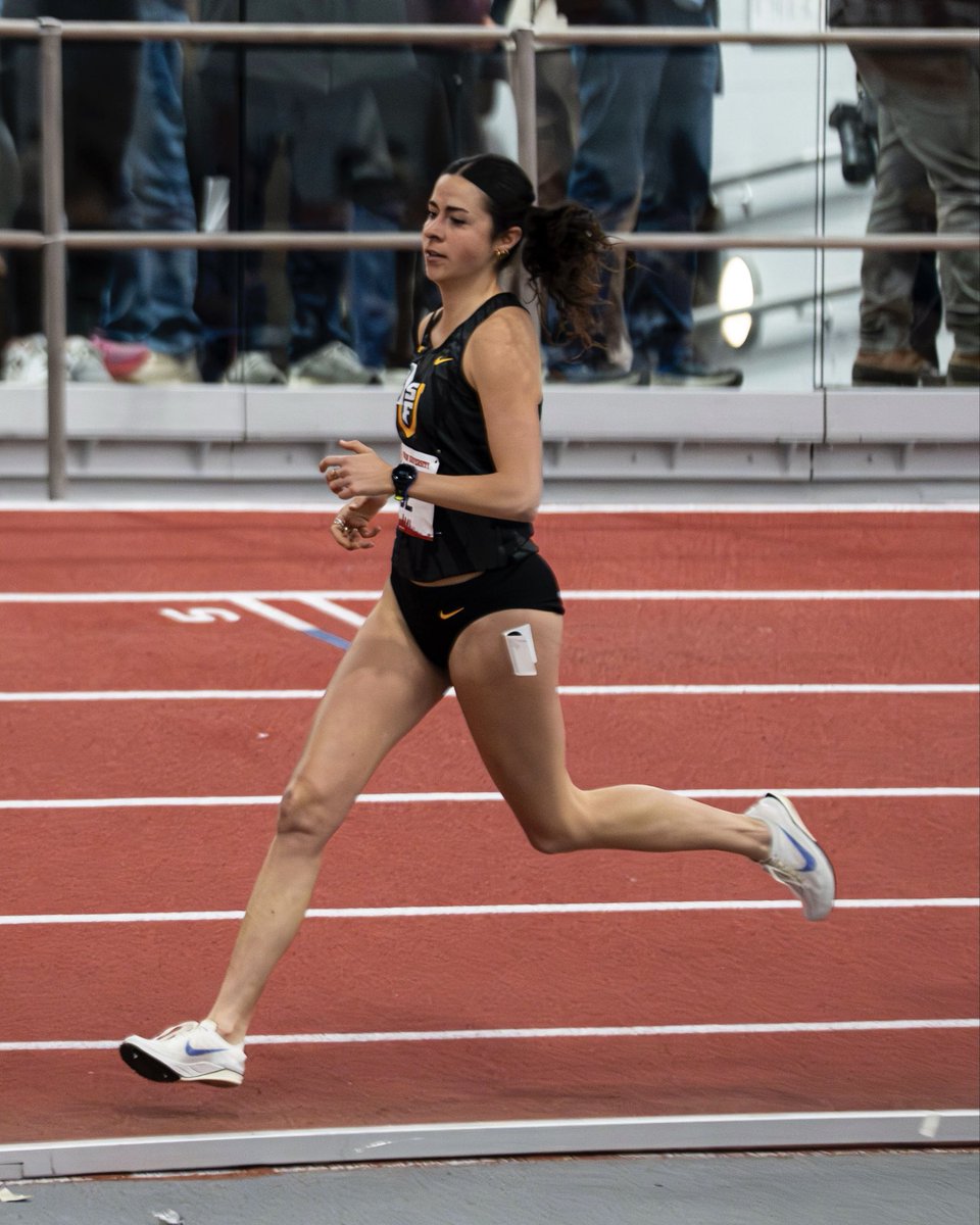 USF Dons XC and T&F tweet media