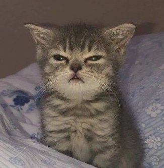 .                 copy                      paste