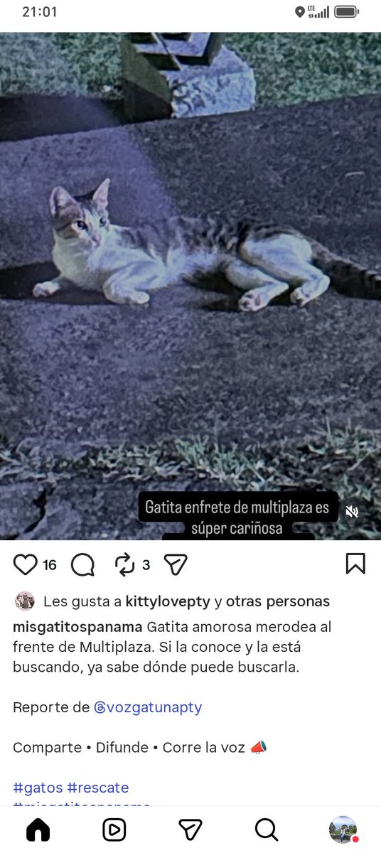 Nacelys González tweet media