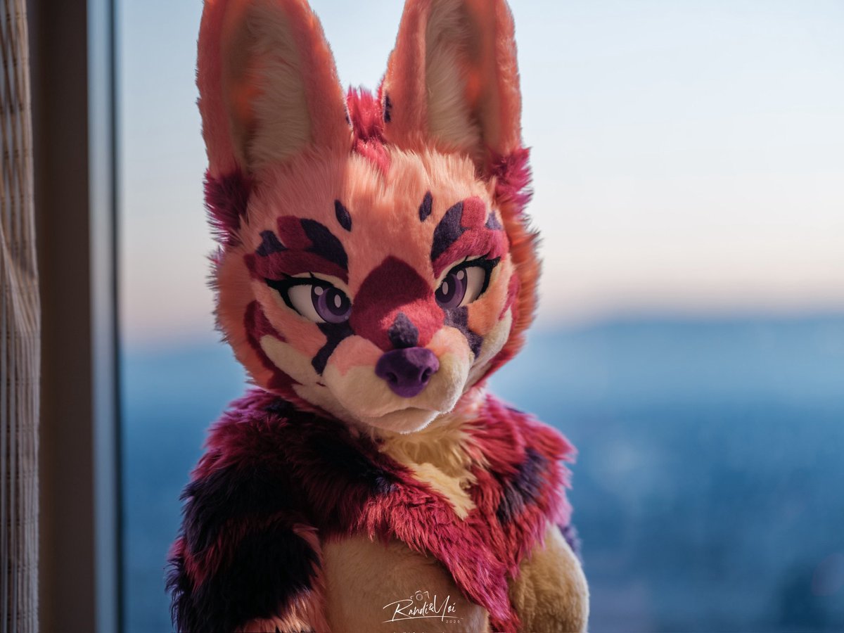 Some feelings only show up at sunset. 🌇

📷: <a href="/Randi_Not_Husky/">笨妮Randi</a> 
✂️: <a href="/wurongcat/">乌绒造物社Wurongcat Fursuit Studio</a> 
#FursuitFriday #furry #FC26