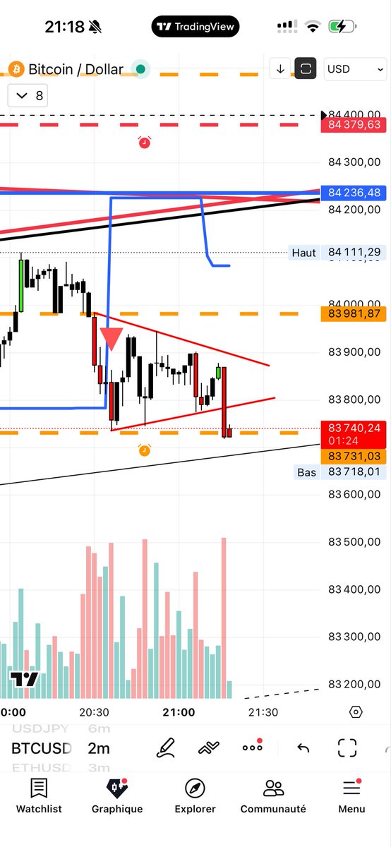 StellarFreedom tweet media