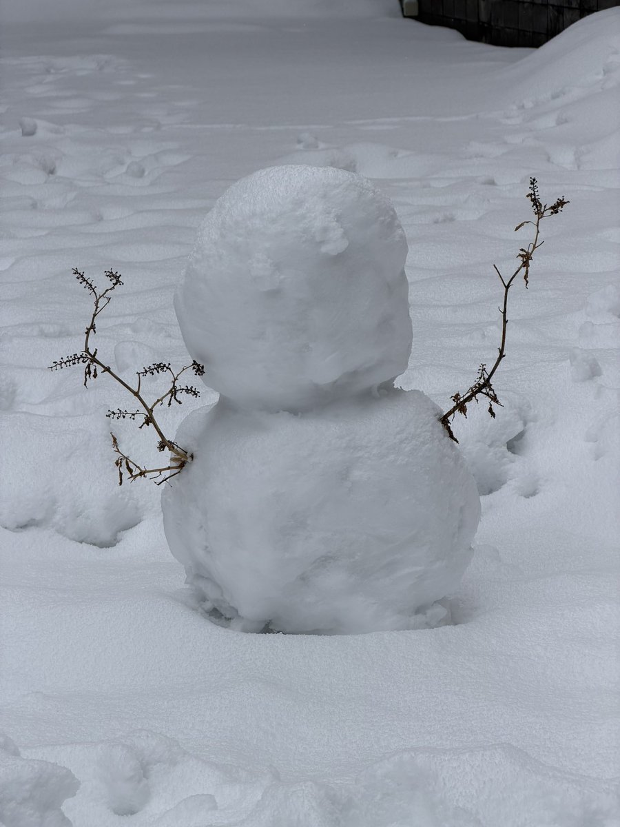 Post by Z長屋 on X: 雪だるま⛄️