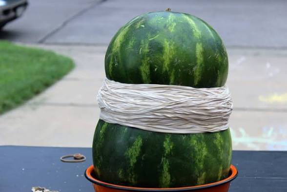 Alise (@aycarter) on Twitter photo 