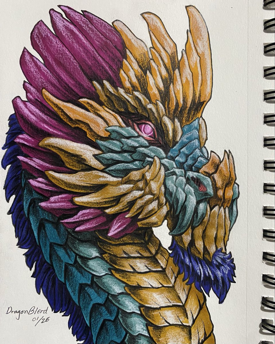 Blue and Gold Dragon