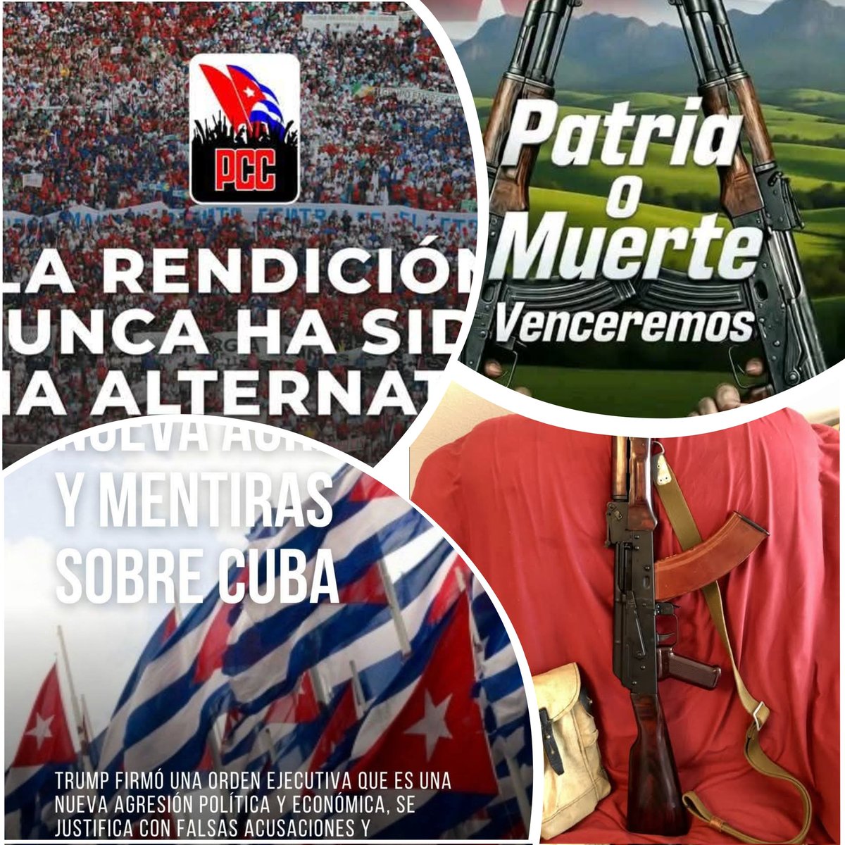 Cuba digna y resilente
Lo reconoce el imperio
Temiendo a su magisterio
Con su furia prepotente
Arremete porque siente
El temor dentro de casa
Imponiéndole mardaza
Ignora que escucha el monte
Trinar más alto al sinsonte
Si el gavilán lo amenaza.
💚💪🇨🇺
#ElAmorNosUne
#PatriaOMuerte