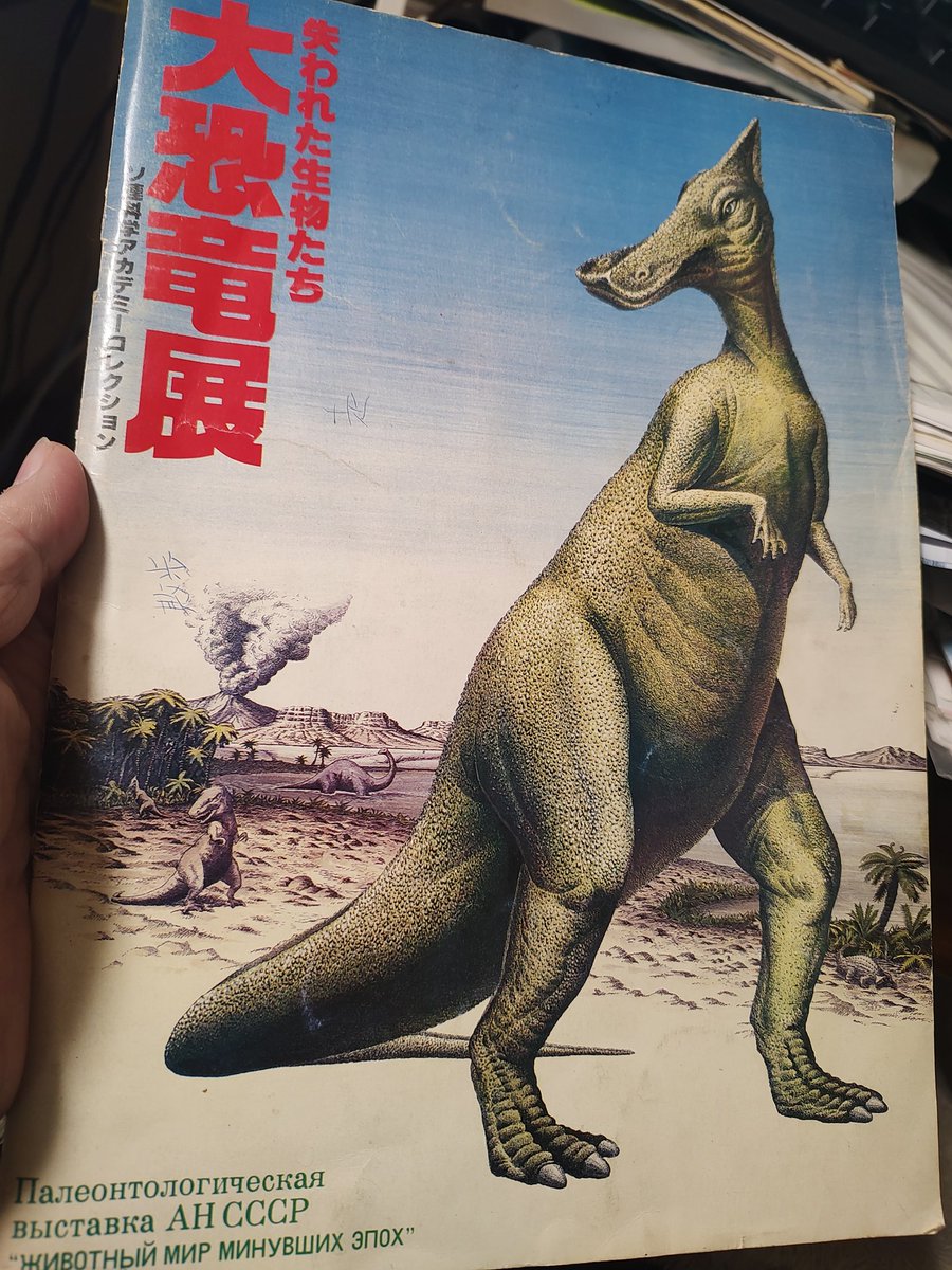 整理してたら出てきた昭和53年（48年前！）エキスポランドで開催された