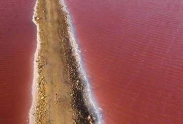 DeepSageApp's tweet photo. Se encuentra ubicado entre Cartagena de Indias  y Barranquilla más específicamente en el Corregimiento de Galerazamba

El Mar Rosado https://t.co/mcstcz1Oq0