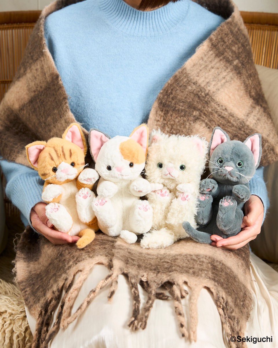 セキグチ公式オンラインショップ (@sekiguchi1918) / Posts / X