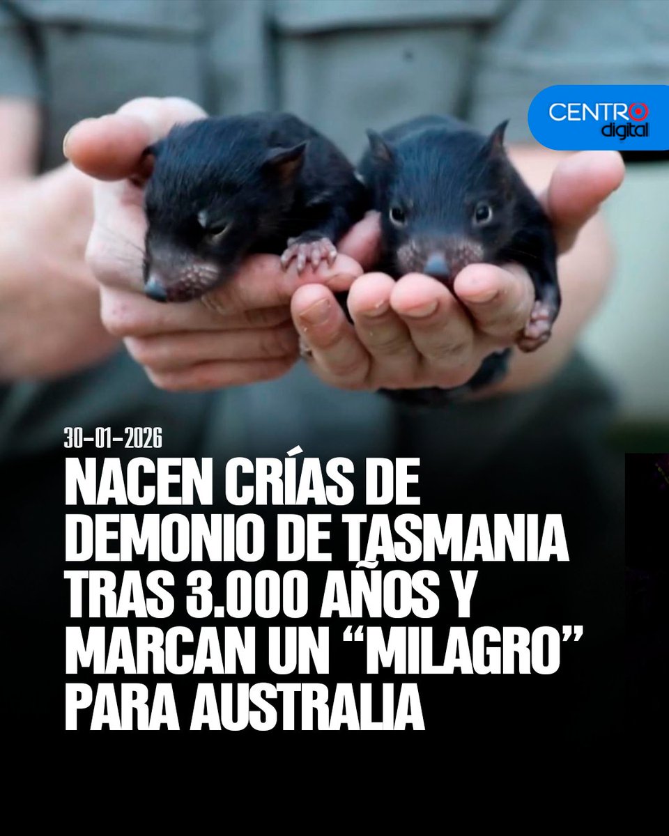 CENTRO Digital tweet media