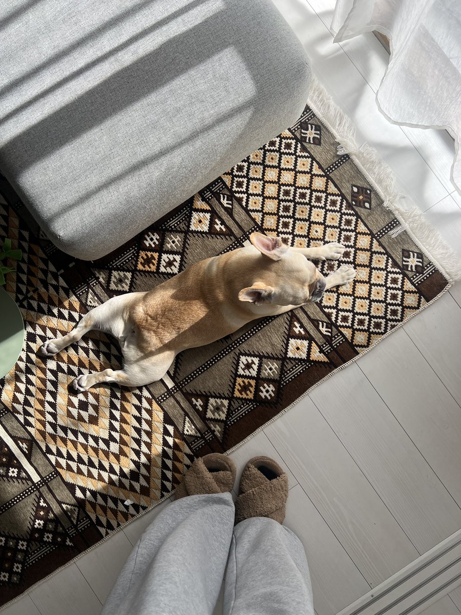 窓際、あったかいね