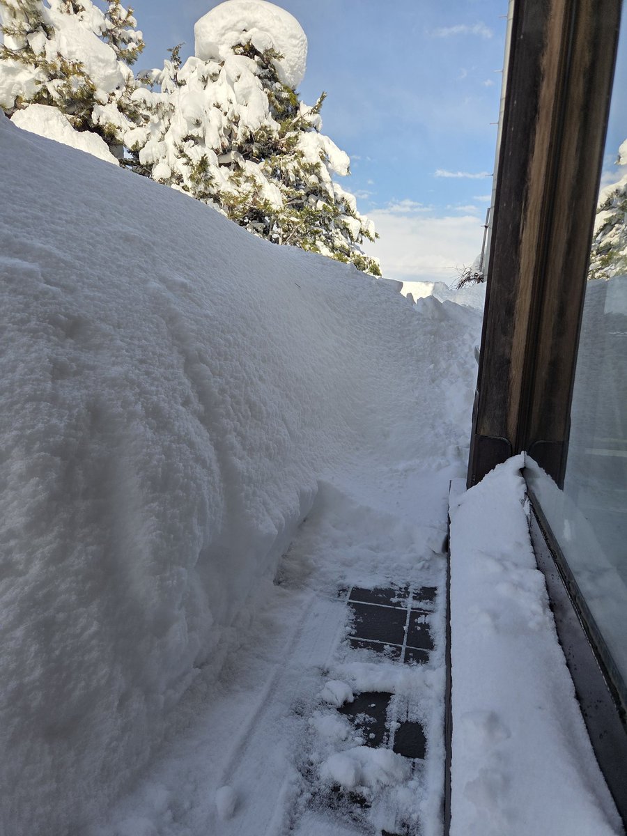 tomassadistic's tweet photo. 毎日毎日アホみたいに雪と格闘して朝起きたらまた元に戻ってるどころかそれ以上に降り積もってる。
ここは冬の賽の河原なんか？ https://t.co/HMrJLb8ZYy