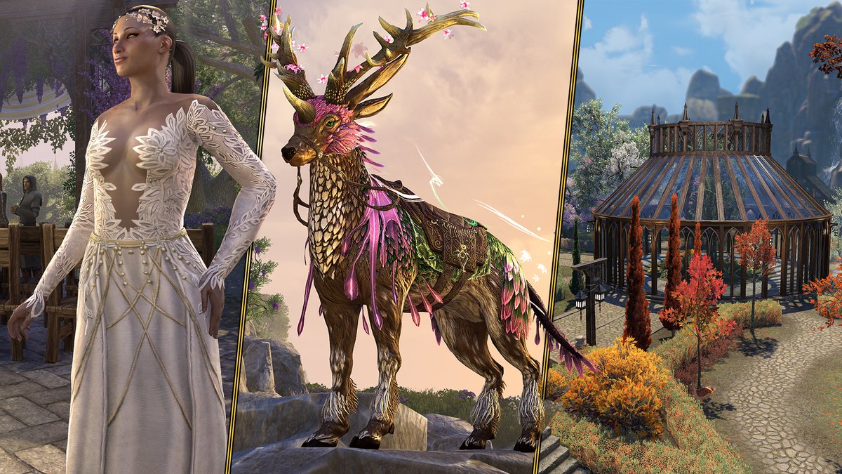 The February Crown Store Showcase has officially arrived! Which items have caught your eye? 👀