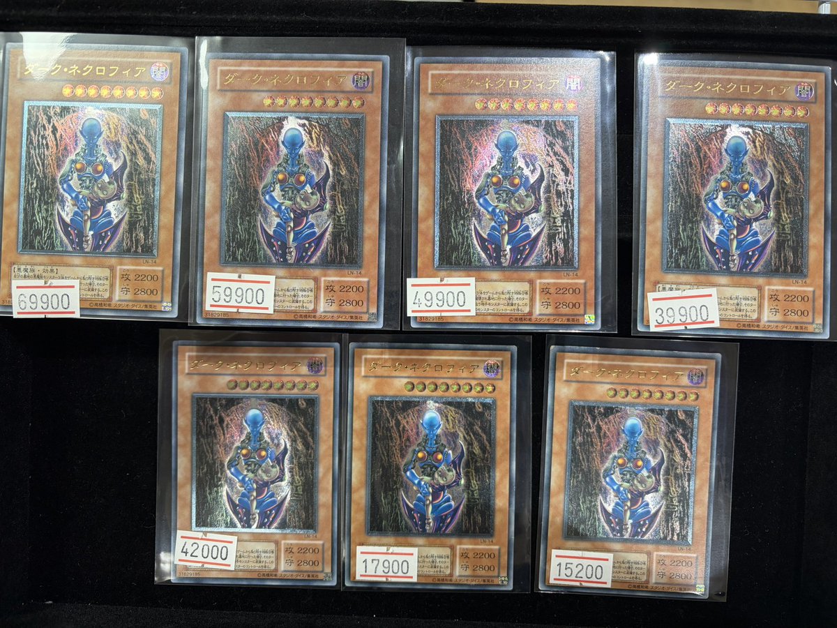 人気のダークネクロフィア、大量に入荷しました💁🏻✨ 背景と色味が