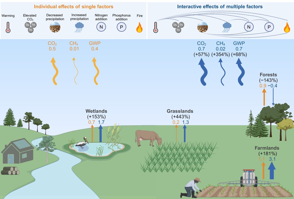 Multiple Global Change Stressors Boost Soil Greenhouse Gas Emissions Worldwide 

🔗 buff.ly/mY1pq7r