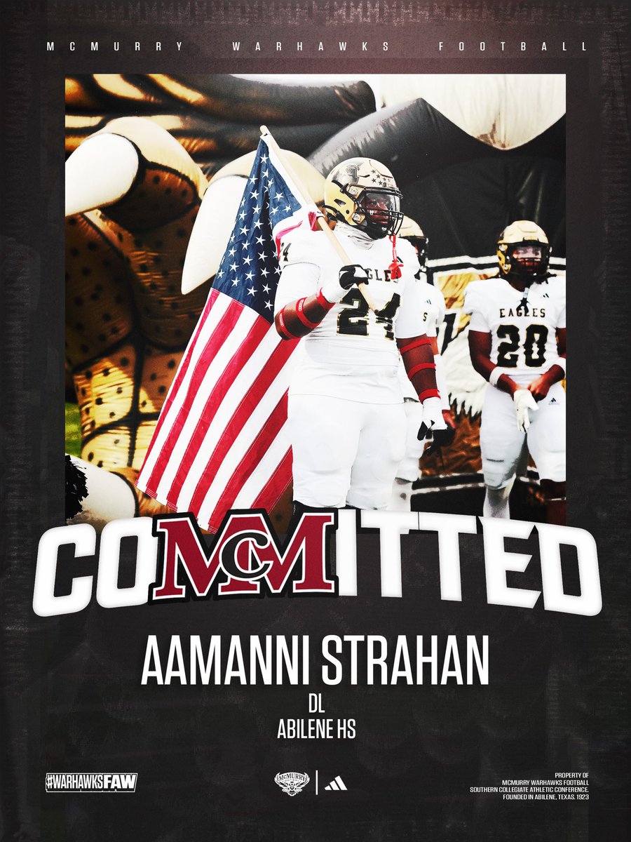 AamanniStrahan_ tweet media